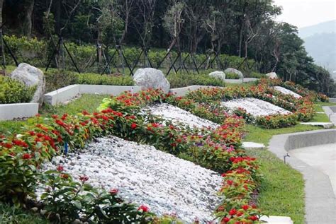 花蓮樹葬|樹葬、花葬的好處在哪裡？ 不需墓地、造碑且零花。